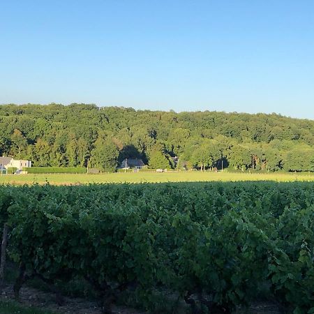 Gite De La Fontaine Bondree Vernou-sur-Brenne Eksteriør bilde